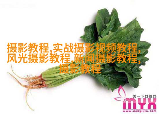 新手必须掌握的定焦镜头六个特点
