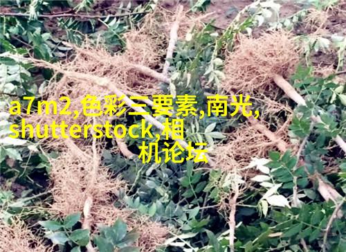 利用环境的遮挡获得理想的光线