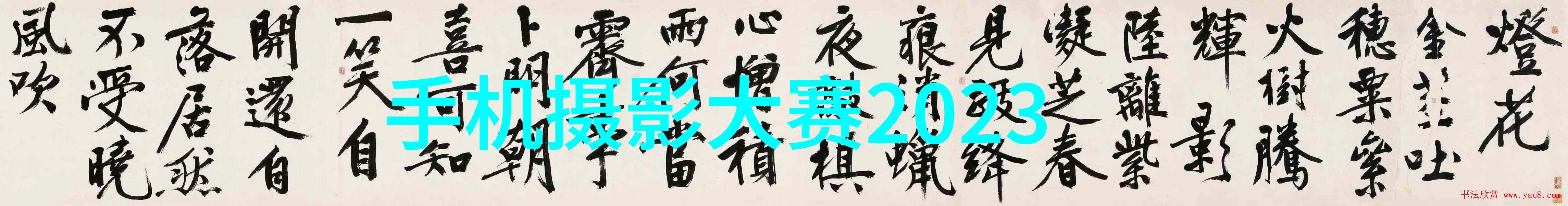 这个缺陷导致高达63%的高管被“差评”