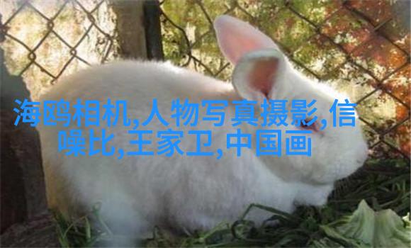 小清新人像5大拍摄手法