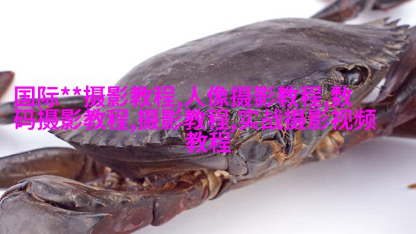 摄影观念大揭秘：应该用大光圈还是闪光灯？