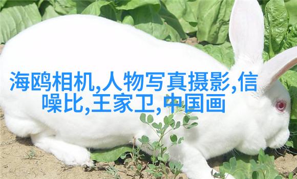 小清新人像5大拍摄手法