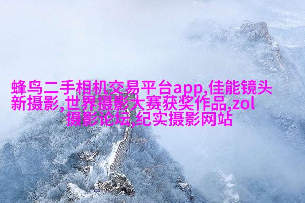 荷兰人像摄影师夺得2017年哈苏国际摄影奖