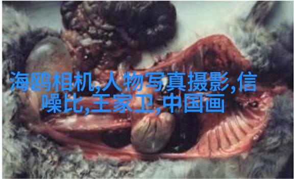小清新人像5大拍摄手法