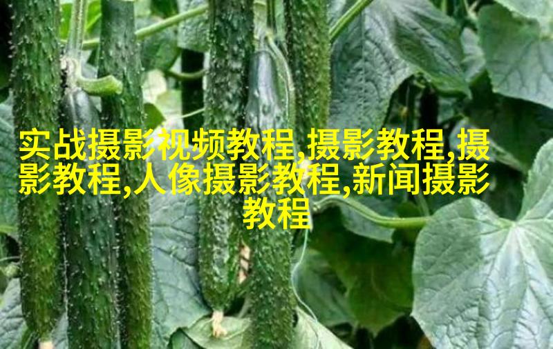 海绵变身滤镜转接环