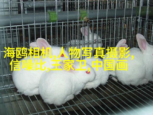 小清新人像5大拍摄手法