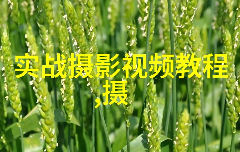 海绵变身滤镜转接环
