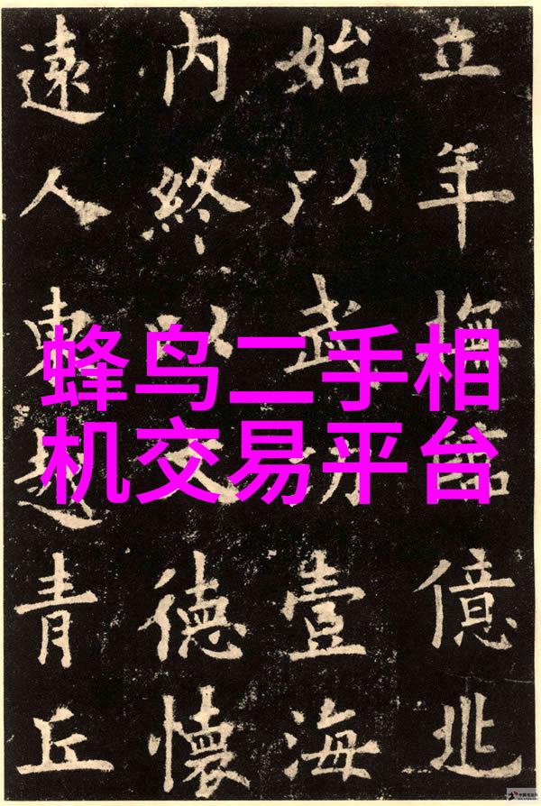 荷兰人像摄影师夺得2017年哈苏国际摄影奖
