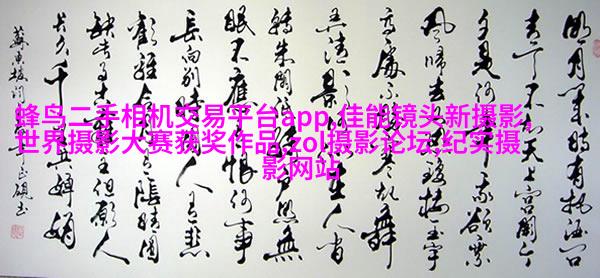 荷兰人像摄影师夺得2017年哈苏国际摄影奖