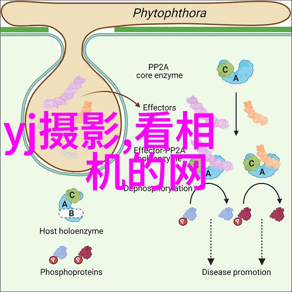 留法学子摄影展巴黎举办