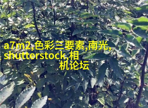 利用环境的遮挡获得理想的光线
